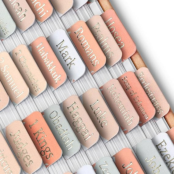 Mr. Pen- Bible Tabs, 75 pcs, Modern Grace, Gold Foil Lettering, Laminated Bible Tabs for Women an... | Amazon (US)