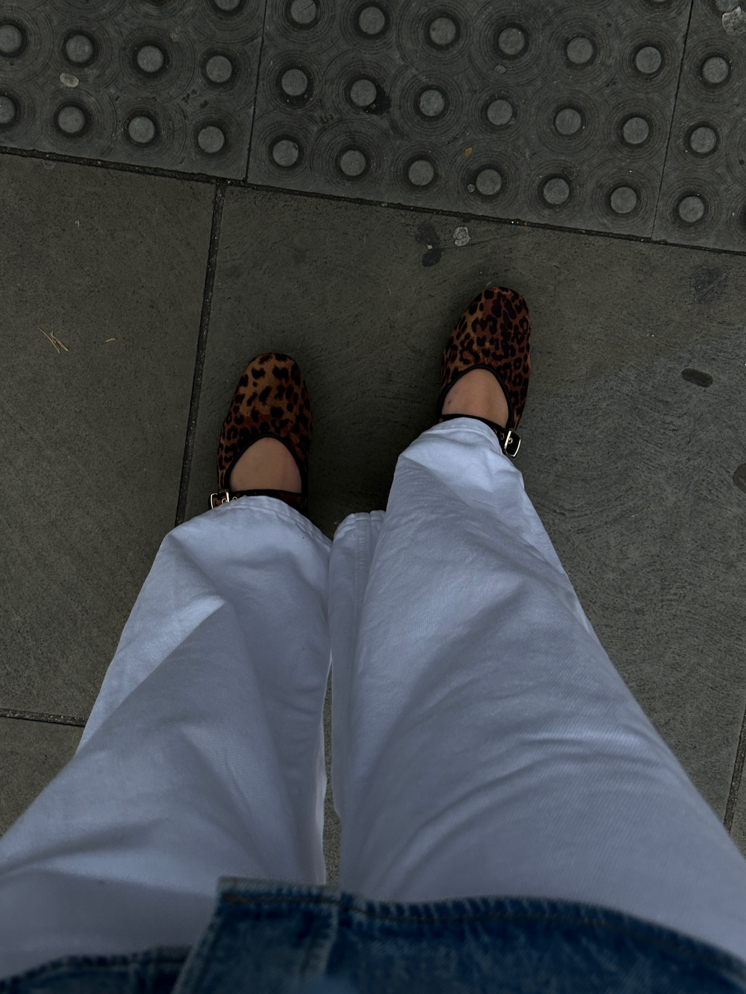 Still in love with leopard print! 