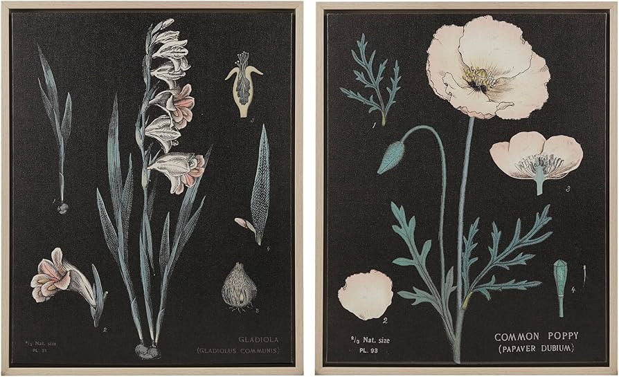 MARTHA STEWART Eventide Flourish Floral Wall Art Set, Contrast Dark Linen Canvas, Botanical Biolo... | Amazon (US)
