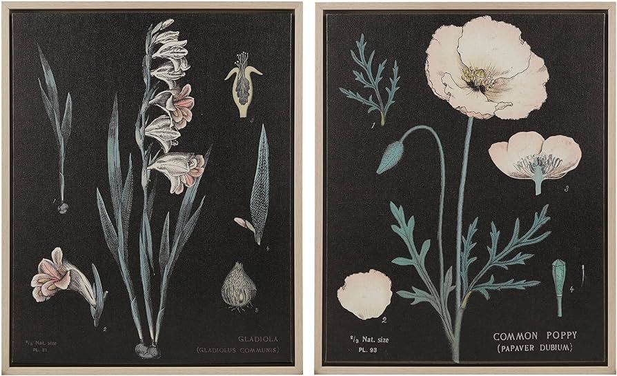 MARTHA STEWART Eventide Flourish Floral Wall Art Set, Contrast Dark Linen Canvas, Botanical Biolo... | Amazon (US)
