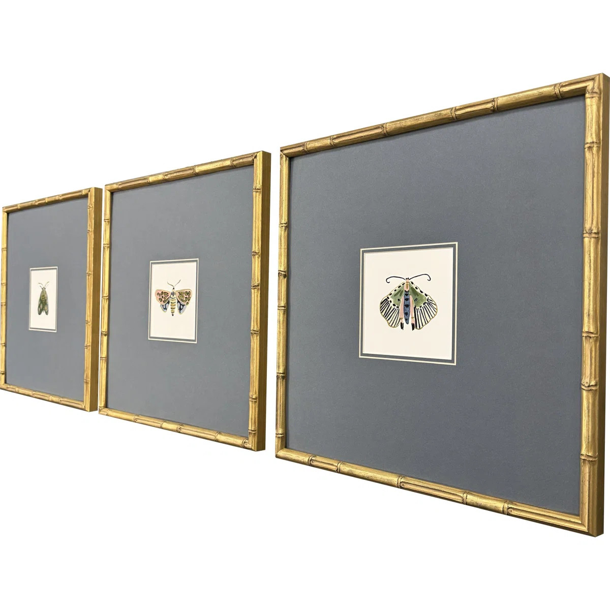 Pastel Moths II Framed Art (Set of 3) | Wayfair North America