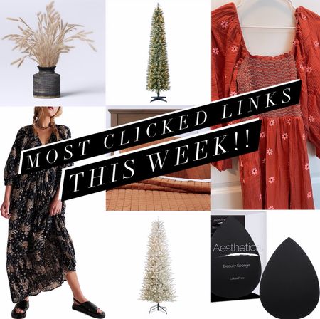 Most Clicked Links By You!!
⭐️ Free People Dupe Fall Dresses
⭐️ Pencil Tree from Walmart
⭐️ Flocked Spruce Tree Walmart
⭐️ Velvet Quilt Target 
⭐️ Makeup Sponge 
⭐️ Wheat Fall Centerpiece Target

Thank you for your support!!

#LTKSeasonal #LTKHoliday #LTKstyletip