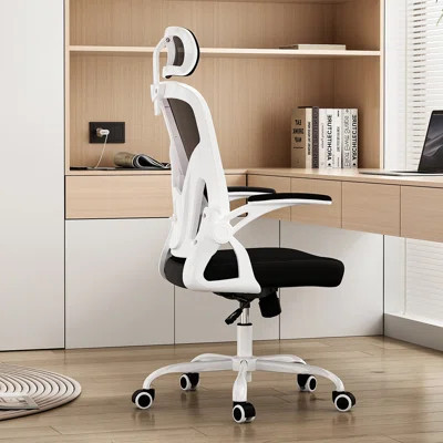 Ergonomic Office Chair,Home Office Desk Chair with Headrest,High Back Computer Chair with Armrests and Adjustable Lumbar Support for Home Office Study | Wayfair North America