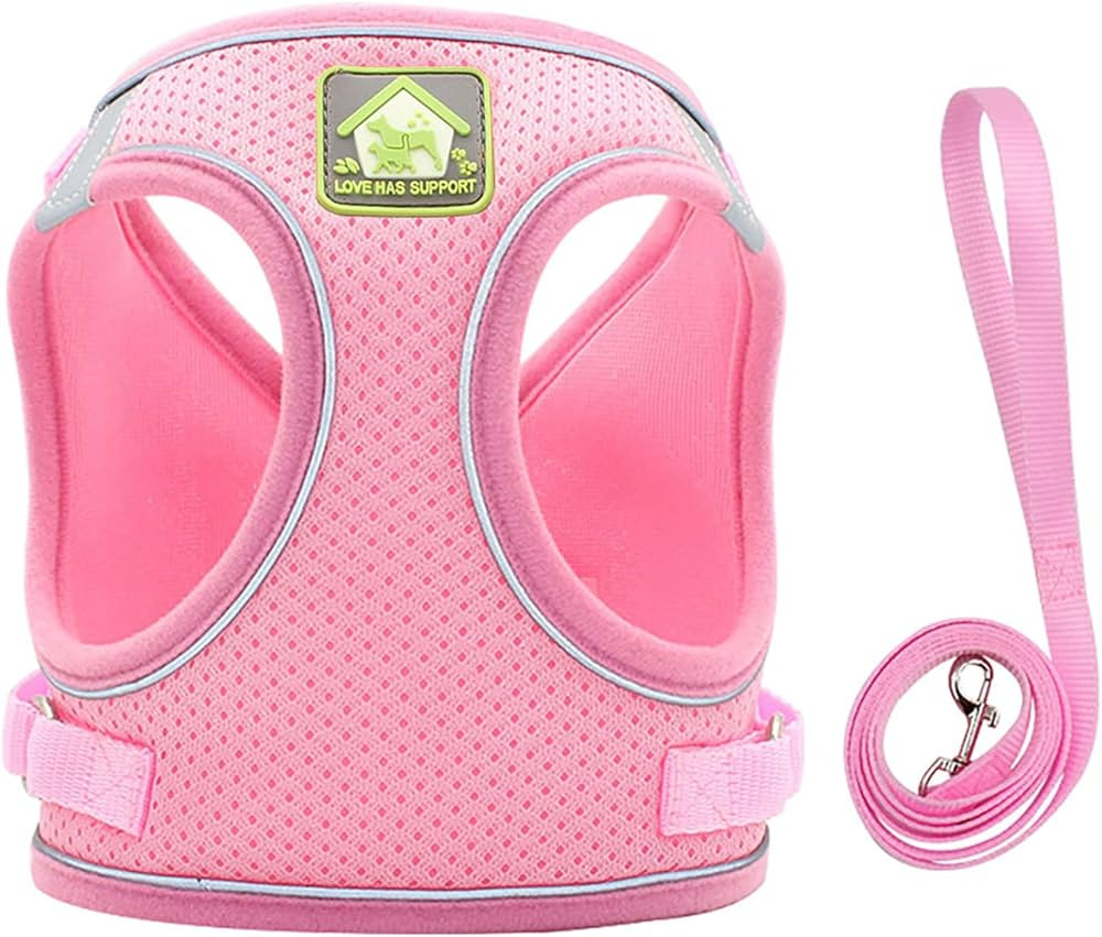 DegGod Dog Harness and Leash Set for Small Dogs, Pink No Pull Adjustable Reflective Pet Harness, ... | Amazon (US)