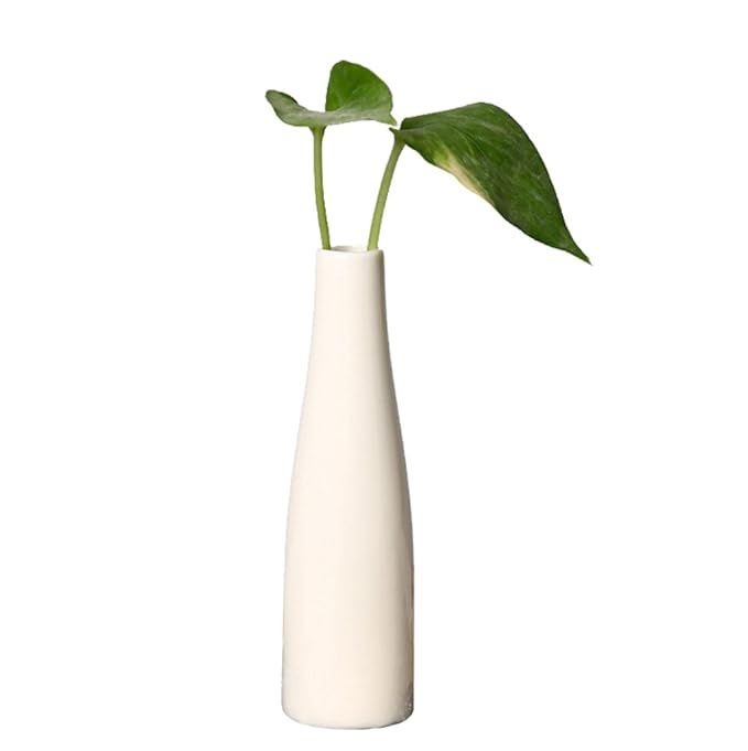 Modern Vase Hydroponic Plants Container Ceramic Flower Vase Small Size White | Amazon (US)