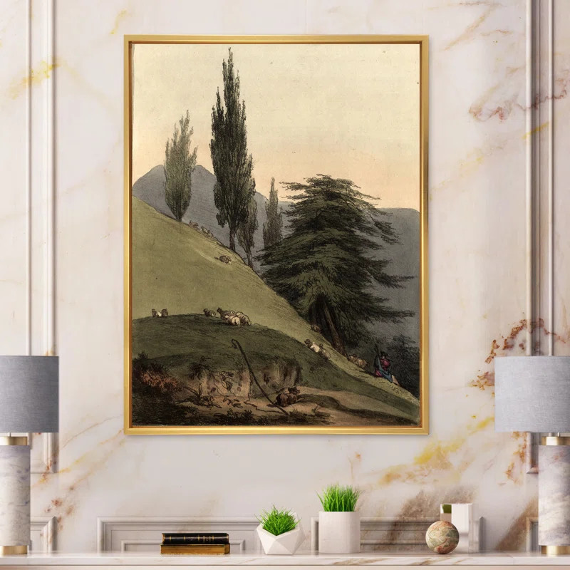 Vintage Images Of Old Trees II Framed On Canvas Painting | Wayfair North America