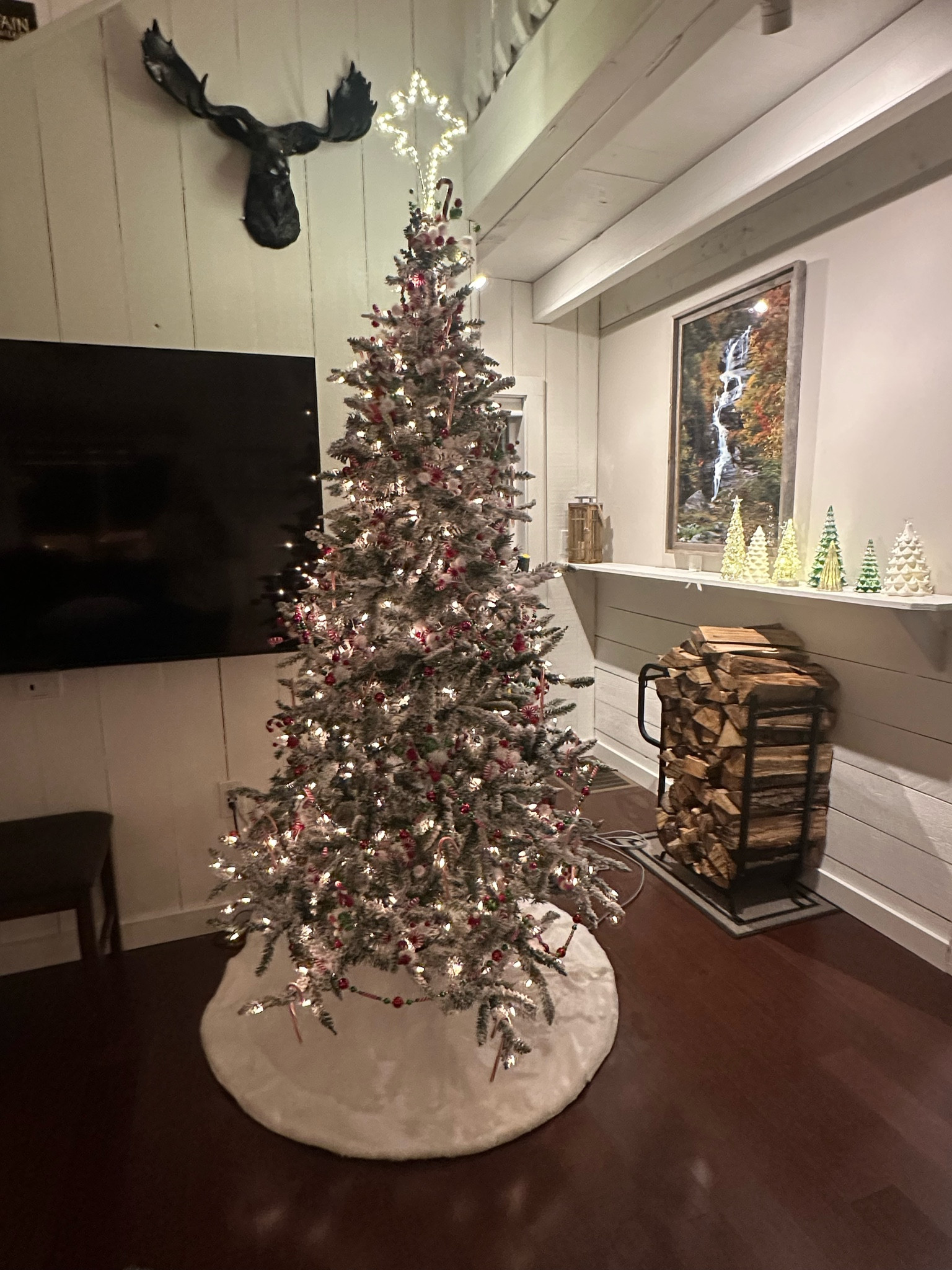 Tree decorating! I love all types of tress but the colorful whimsical decorations and ornaments might be my favorite. 

#LTKGiftGuide #LTKHoliday #LTKSeasonal