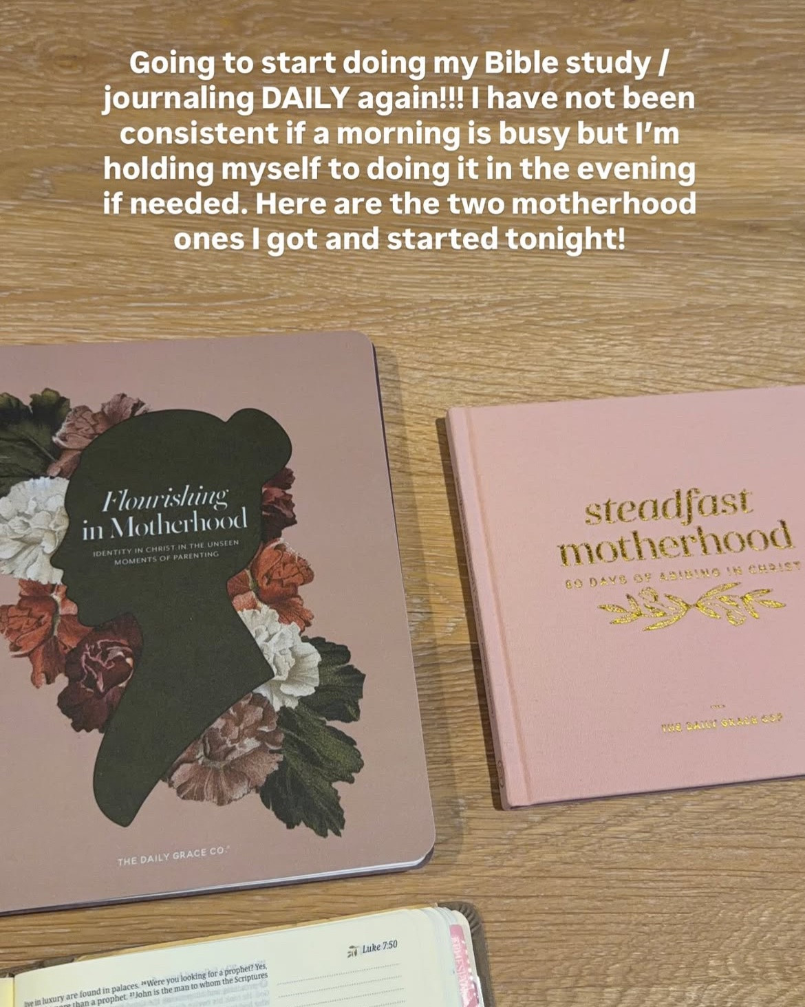 Getting back to Bible study and journaling daily again! Here’s the devotional and study journal I bought — both centered around motherhood!

#LTKmomlife #LTKselfcare #LTKBump