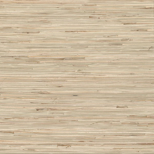 Dawley Grass Cloth Roll | Wayfair North America