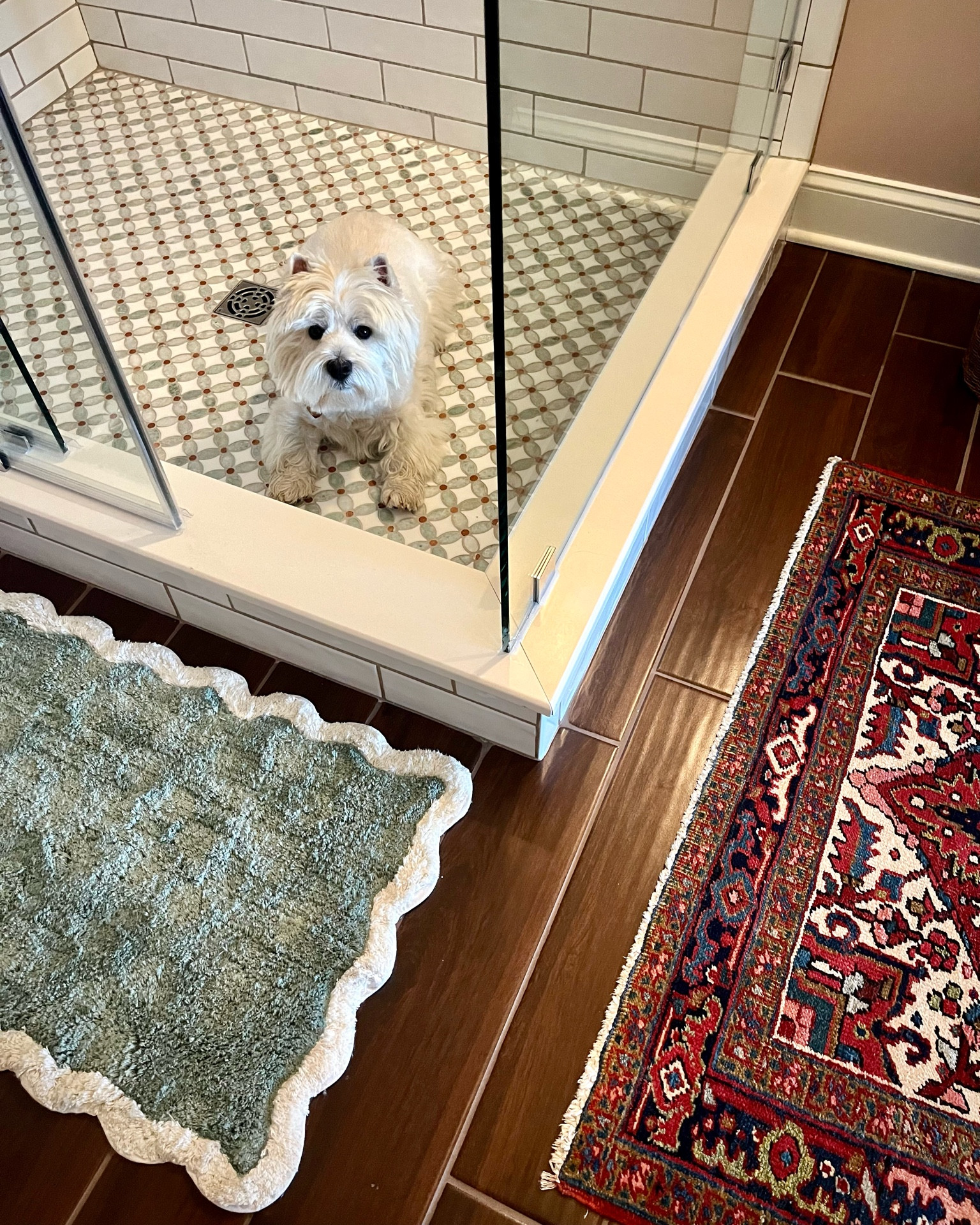 Wellie wants you to know the sage green scalloped edge bath mat is back in stock but only a few left - scoop one up under $22!

#LTKsalealert #LTKstyletip #LTKhome