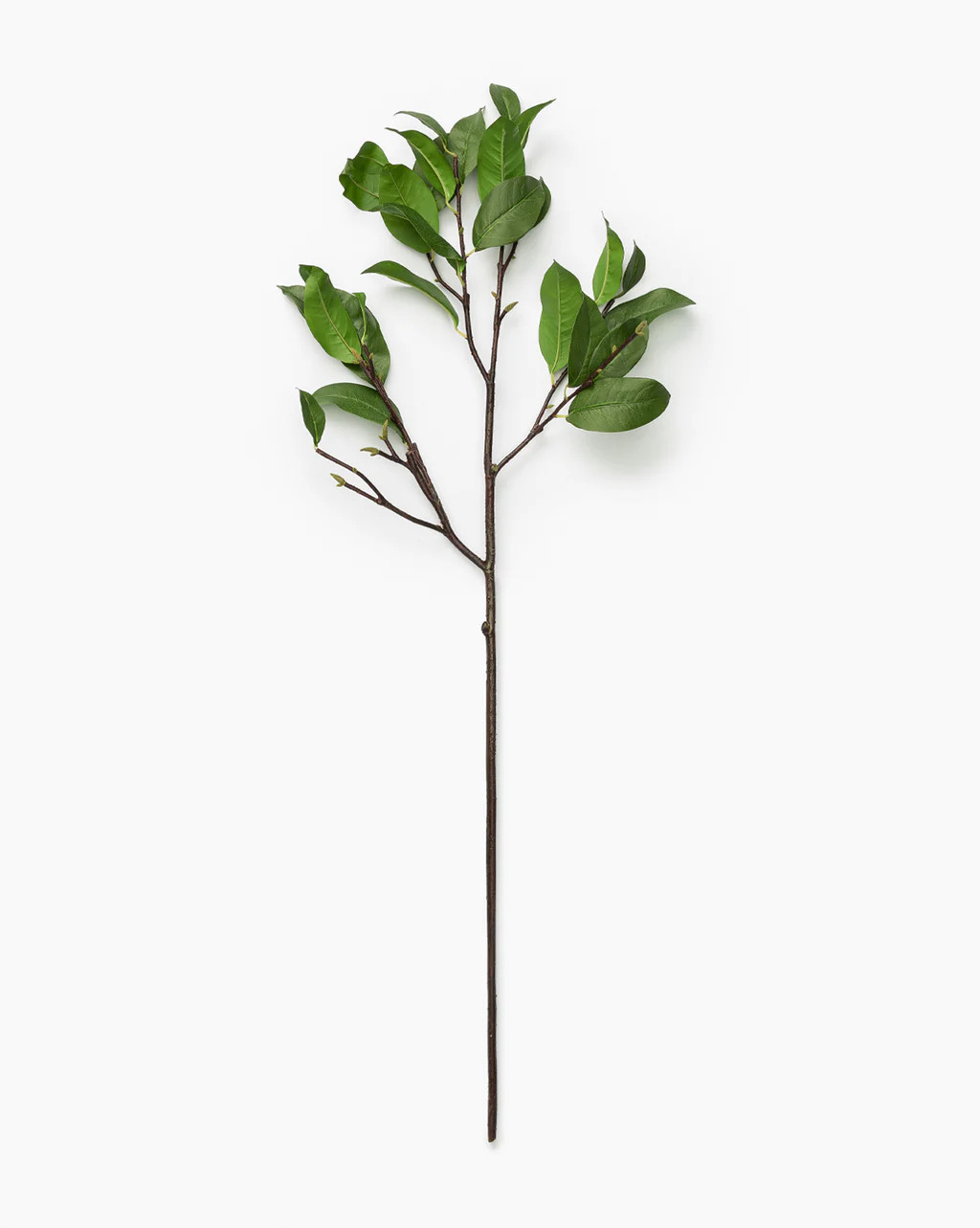 Faux Laurel Leaf Stem | McGee & Co.