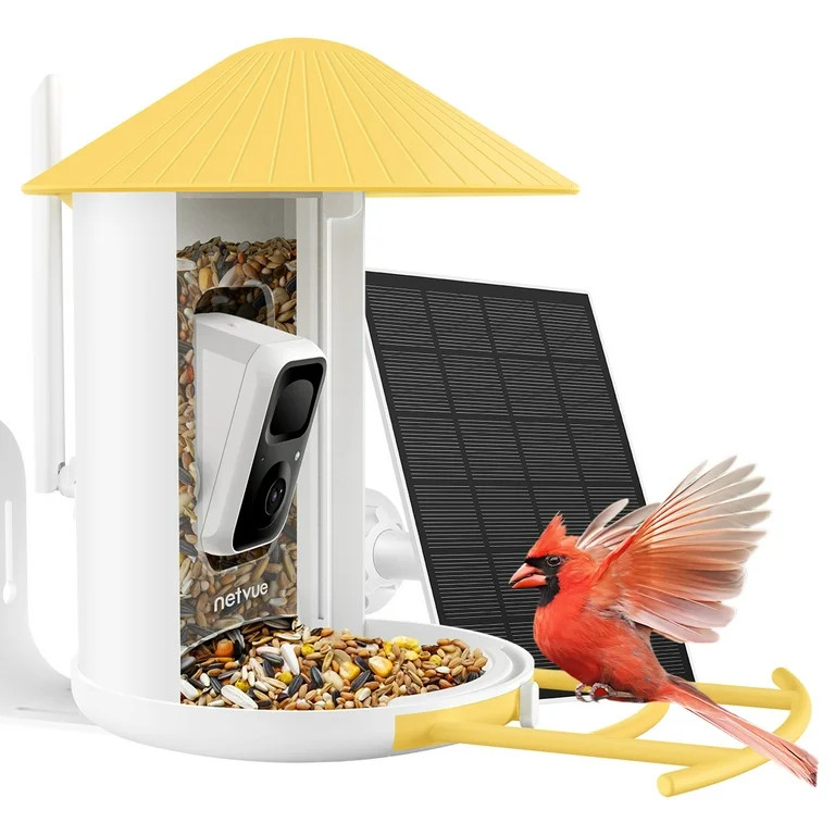Bird Feeder with Camera, Netvue Birdfy Outdoor Smart Bird Watching Camera with Solar Panel, Yello... | Walmart (US)