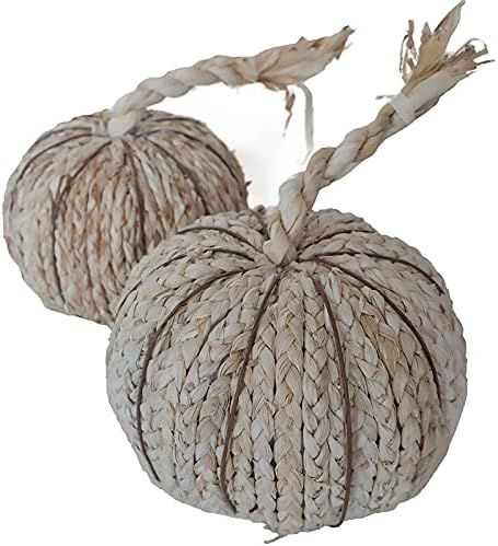 Amazon.com: CIR OASES 2 PCS-8Inch Artificial Pumpkin Corn Husk Pumpkin Thanksgiving Decorations F... | Amazon (US)