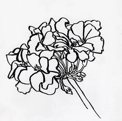Single Geranium | Artfully Walls