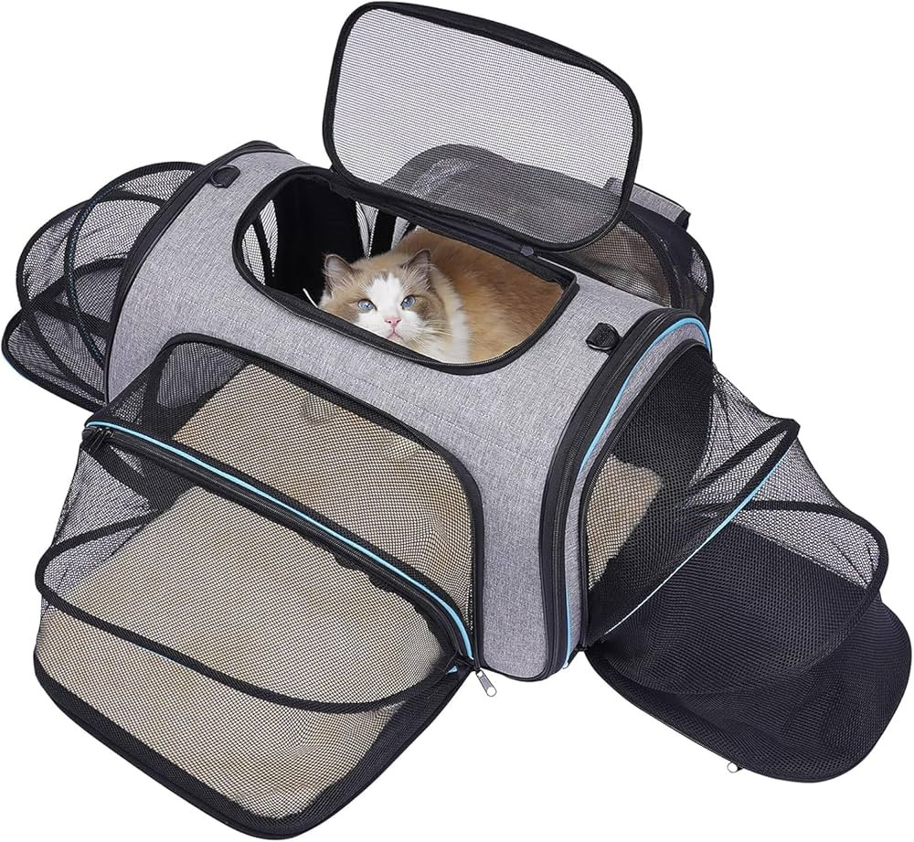 Siivton 4 Sides Expandable Pet Carrier, Airline Approved Soft-Sided Dog Cat Carrier Bag with Flee... | Amazon (US)