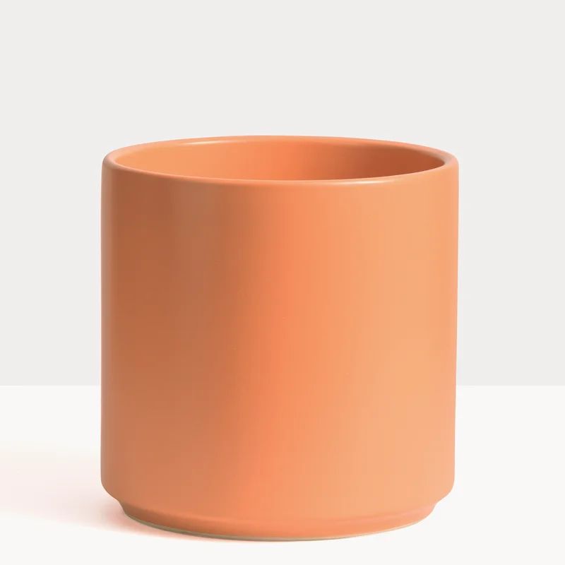 Porcelain Ceramic Pot Planter | Wayfair Professional