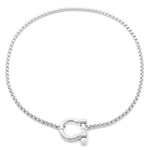 SIXAOAZZ 18K Gold Plated Buckle Necklace with Heavy Screw Anchor Shackle Wheat Chain Two Tone Carabiner 17.7 Inch Stainless Steel Foxtail Chain (Silver) | Amazon (US)
