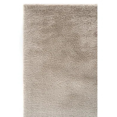 Soft Beige Soft Textured Rug | Wayfair North America
