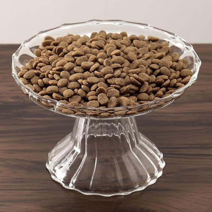 Elevated Cat Bowls Whisker Friendly. Raised Glass Whisker Fatigue Cat Bowl for Indoor Cats Protec... | Amazon (US)