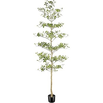 Black Olive Tree 7ft - Faux Black Olive Tree with Natural Trunk and Realistic Leaves - Realistic ... | Amazon (US)