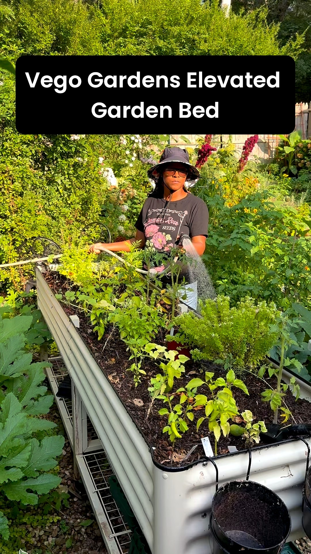 Elevate your garden with this Vego Garden Bed! Perfect for your deck or patio!

#LTKSeasonal #LTKFamily #LTKHome