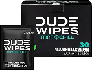 DUDE Wipes On-The-Go Mint Chill Travel Wipes - 30 Count (Individually Wrapped) - Extra-Large Adul... | Amazon (US)