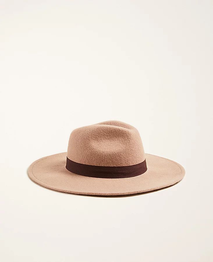 Felt Fedora | Ann Taylor (US)