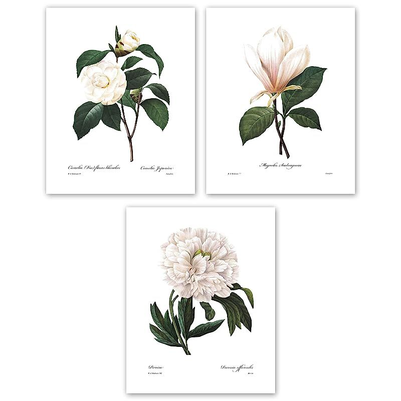 Botanical Prints 8x10 White Home Decor Room Redoute Flower Wall Art Set of 3 - Unframed | Amazon (US)