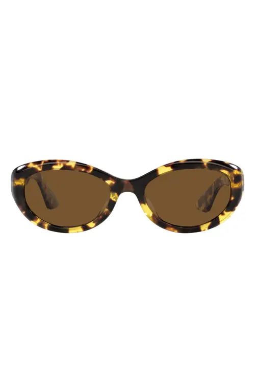 Oliver Peoples x KHAITE 1969C 53mm Oval Sunglasses in Dark Tortoise at Nordstrom | Nordstrom
