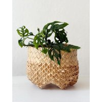 Handwoven Small Palm Leaf Planter Basket - Sculpted Boho Pot | Etsy (US)