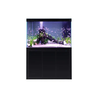 Simple Modern Rectangular Eco Aquarium Tank | Wayfair North America