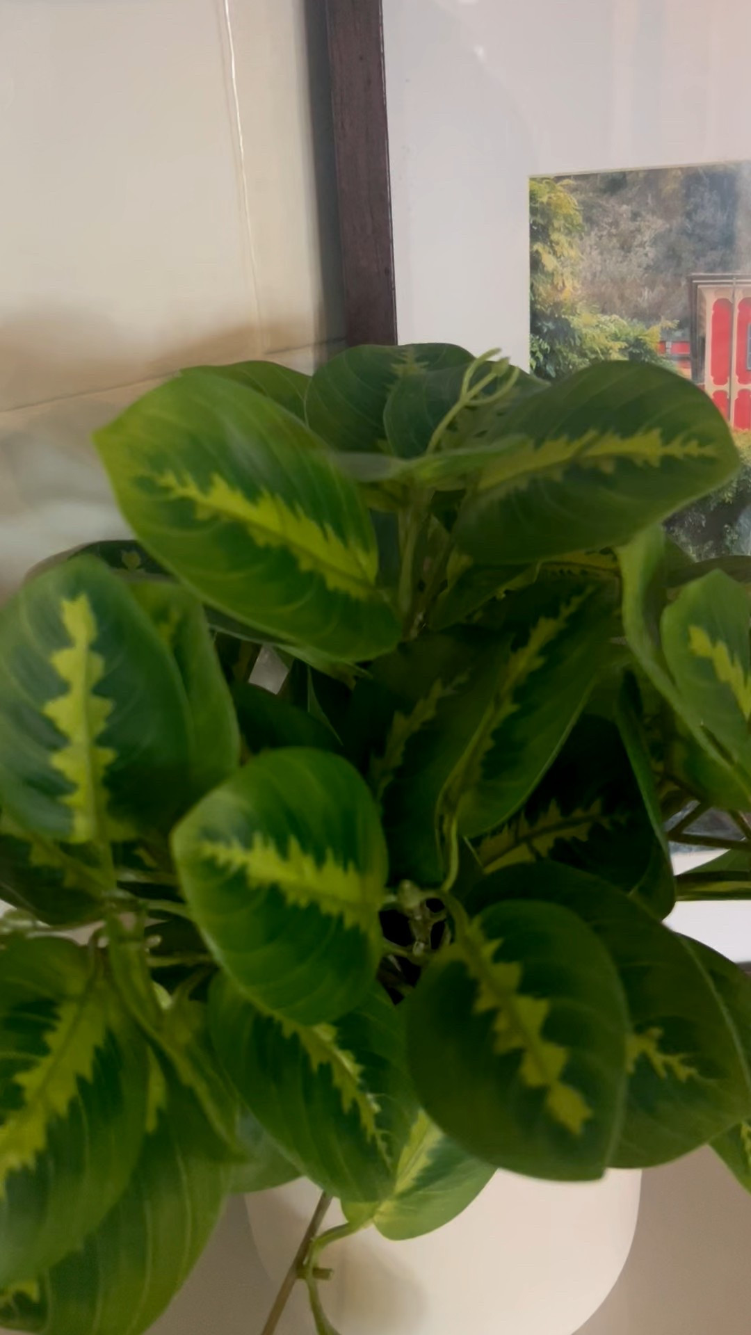 TARGET artificial plants are 👏🏼👏🏼 right now!!  There’s something about having plants ticked away in the little corners of my house that makes me smile! (And I CANNOT keep real plants alive!) 