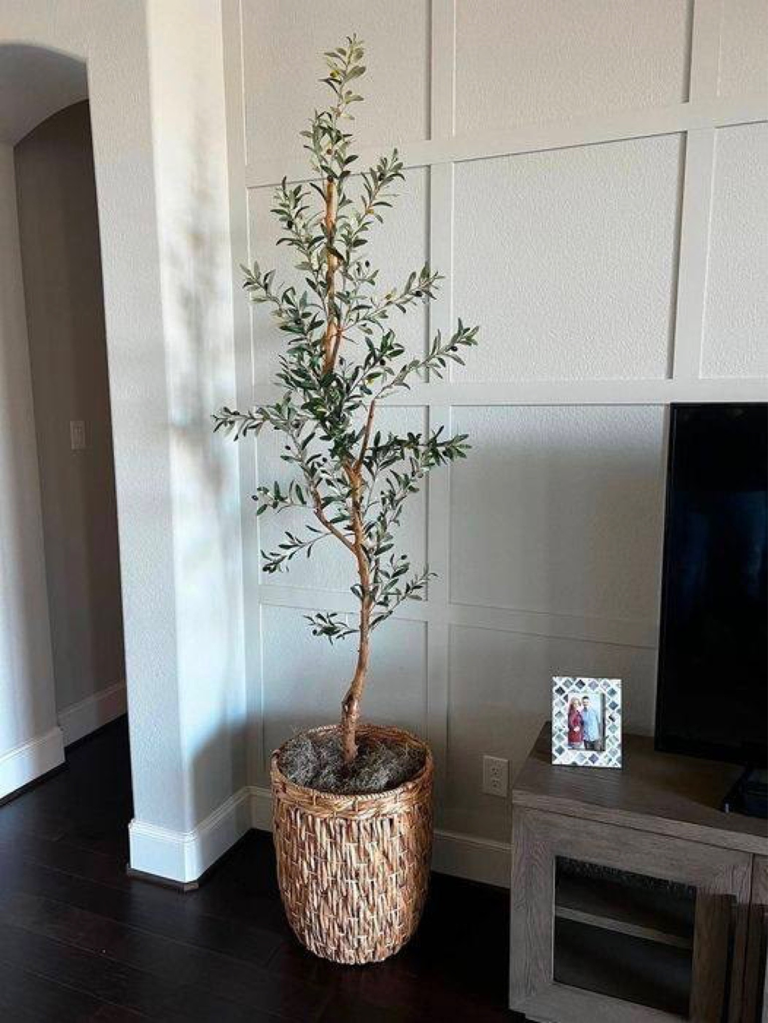 Great Home Decor Plant

Home  decor  style tip  plants  greens  green plant  succulent  trees  fall  season  flowers  spring  summer  home tips

#LTKSeasonal #LTKhome #LTKSale
