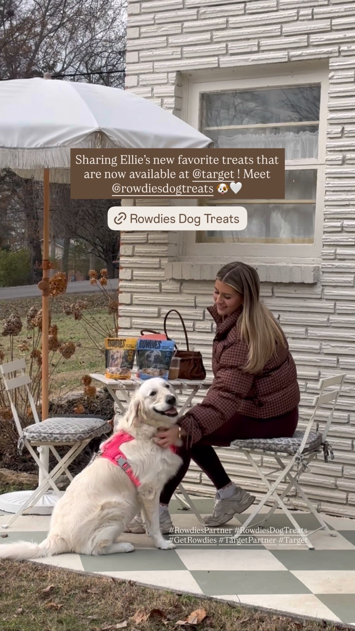 #ad Rowdies treats are soft, protein packed, and perfect for fueling all of Ellie’s wild moments! 🤍 You can find @rowdiesdogtreats at @target and shop our favorites below👏🏼🐶 #RowdiesPartner #RowdiesDogTreats #GetRowdies #TargetPartner #Target 