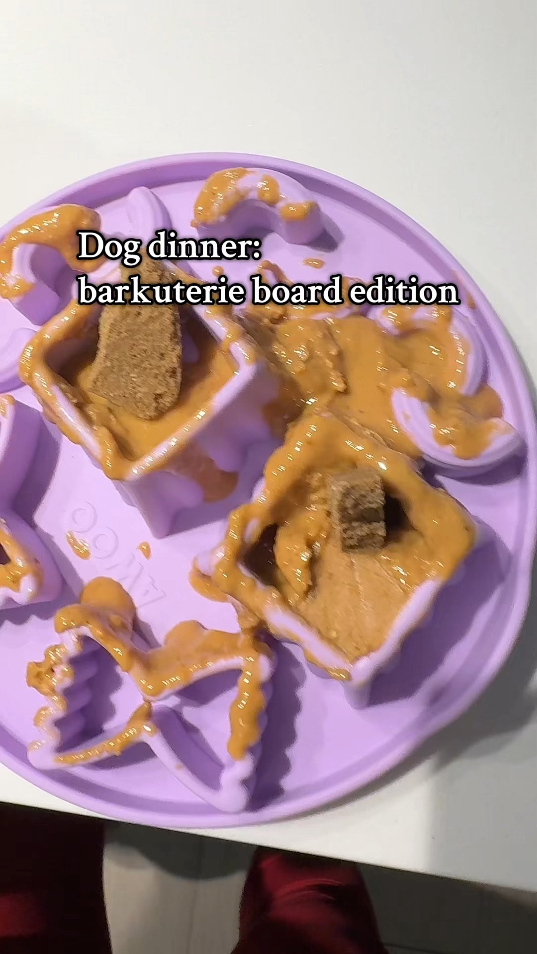 He’s in love and occupied 



#LTKvlog #LTKHome #LTKGiftGuide