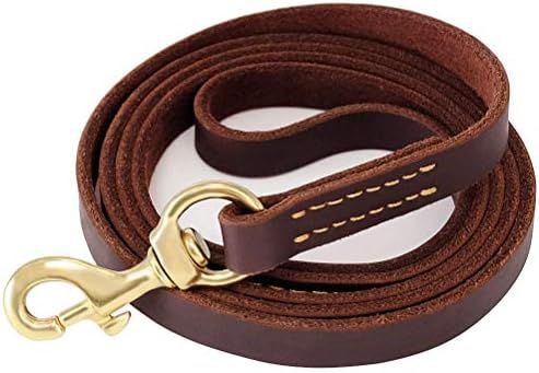 Fairwin Leather Dog Leash 6 Foot (5.6 Foot) - Leather Slip Collar Dog Leash - Genuine Handmade 6 ... | Amazon (US)