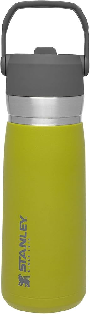Stanley IceFlow Stainless Steel Bottle with Straw, Vacuum Insulated Water Bottle for Home, Office... | Amazon (US)