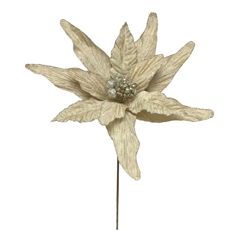 Metallic Champagne Poinsettia Stem, 25" | At Home