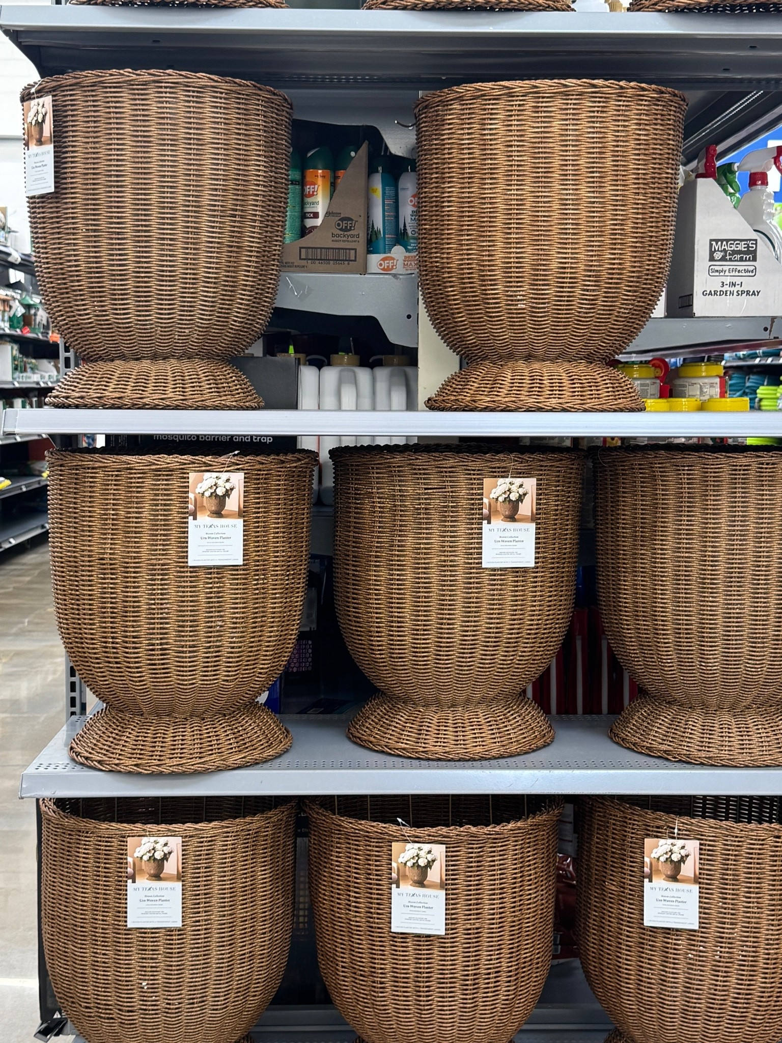Perfect planters for some mums this Fall