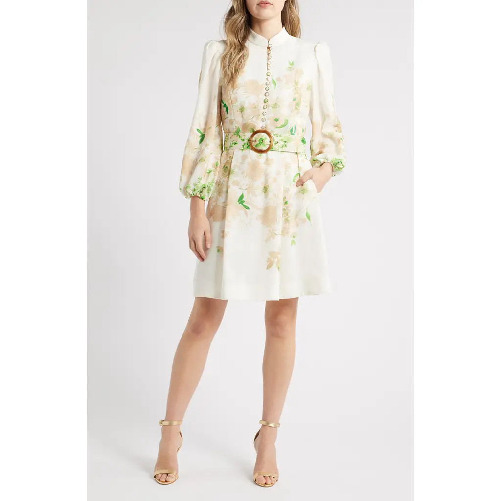 Tahari ASL Border Print Belted Long Sleeve Dress in Ivory Fern at Nordstrom, Size 2 | Nordstrom
