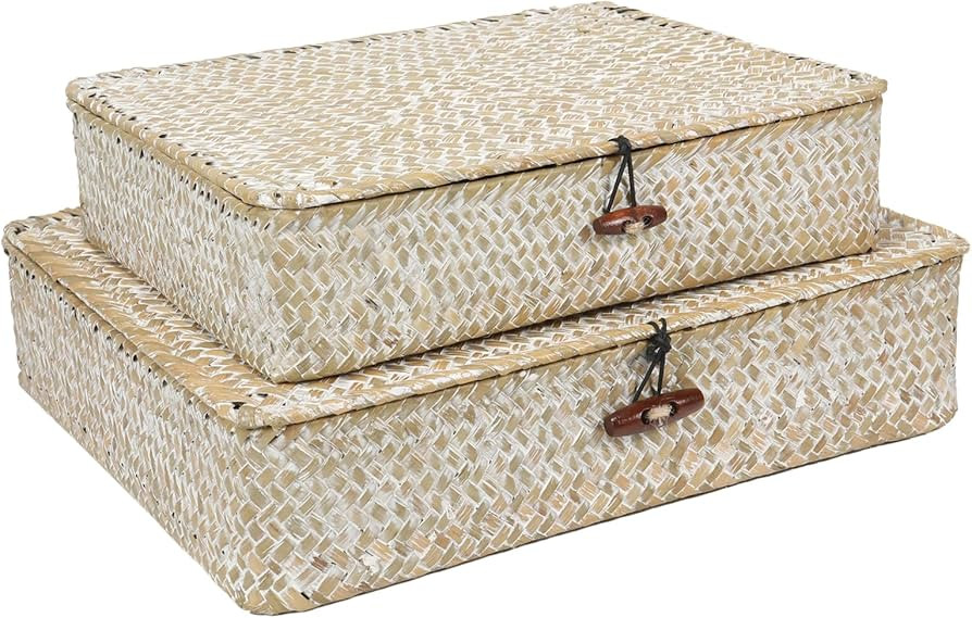 Set of 2 Flat Seagrass Storage Bins with Lid Wicker Storage Baskets for Organizing, Woven Shelf O... | Amazon (US)