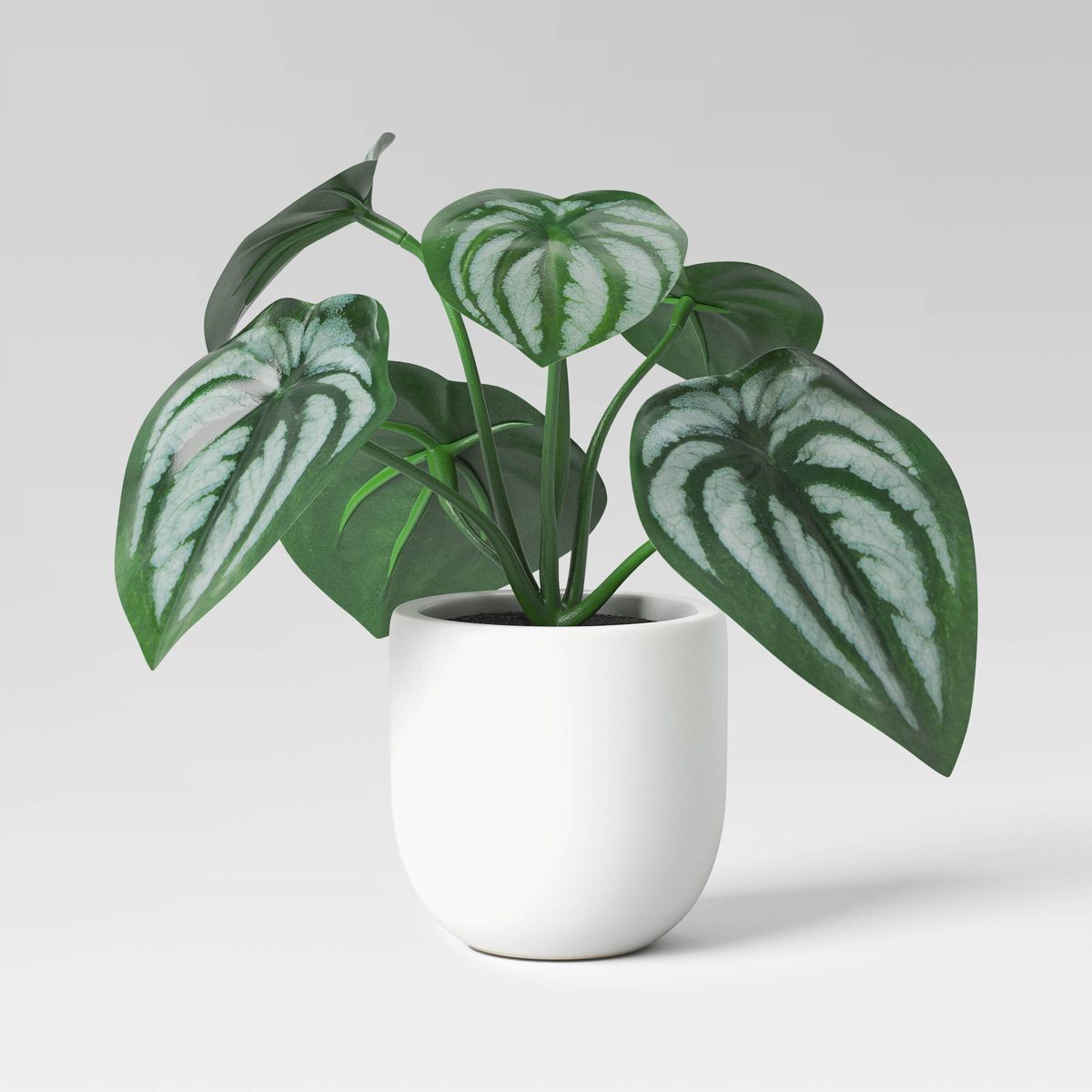 5.5" Mini Tabletop Peperomia  Artificial Plant - Threshold™ | Target