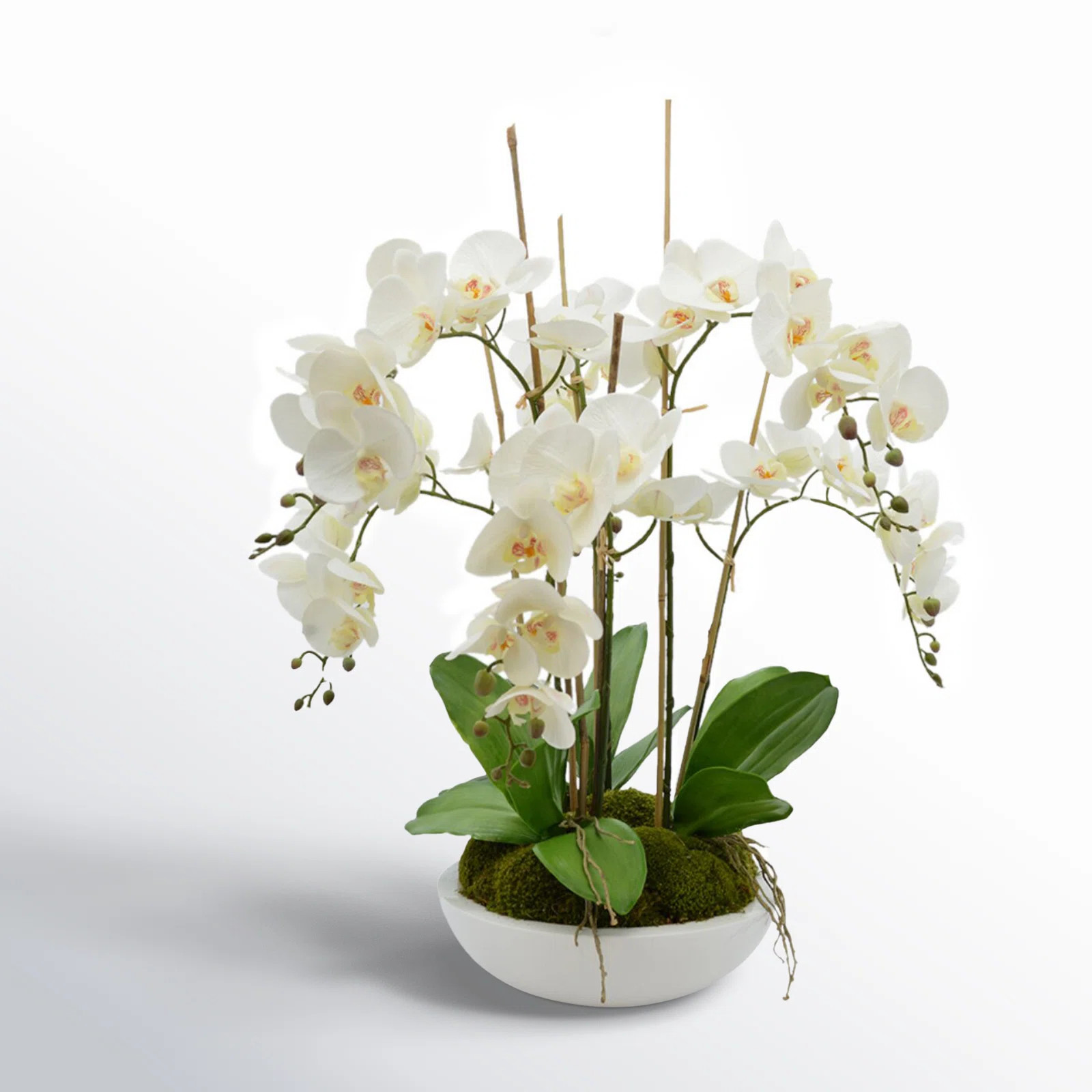 Orchid Arrangement in Round Fiberstone Pot | Wayfair North America
