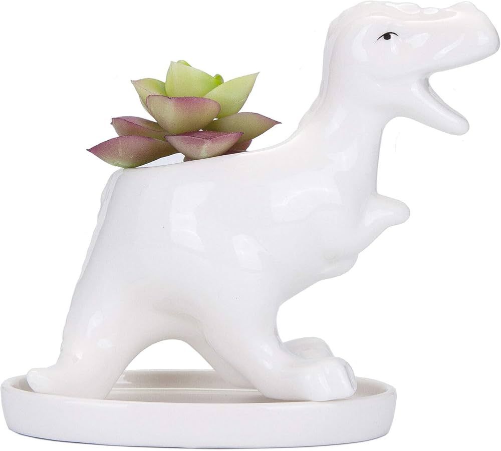VanEnjoy Desktop Cute Cartoon White Tyrannosaurus Dinosaur Ceramic Succulent Pot with Tray, T-Rex... | Amazon (US)
