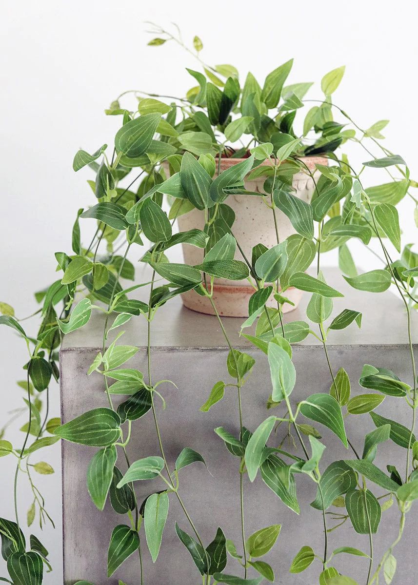 Artificial Plants Hanging Tradescantia Houseplant - 41 | Afloral