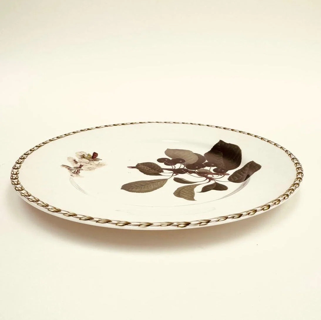 10.75" Porcelain Plate with d\u00e9cor, Vintage Queen's Horticultural Society Art by Hooker Salad... | Wayfair North America