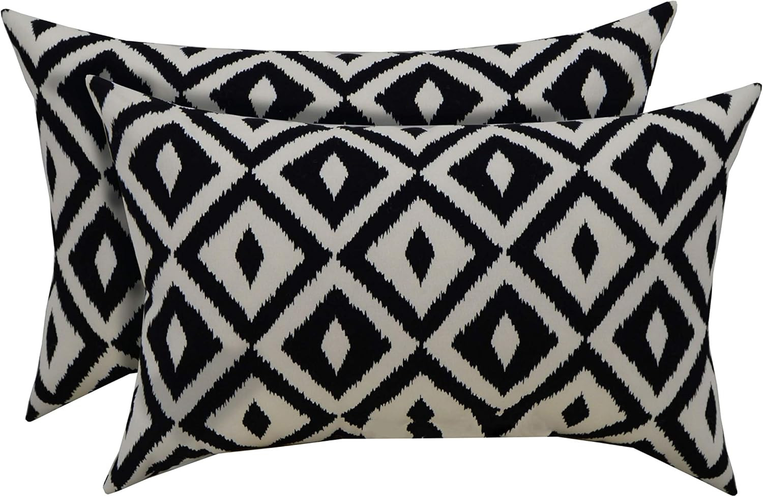RSH Décor Indoor Outdoor Set of 2 Decorative Rectangular Lumbar Throw Pillows Weather Resistant ... | Amazon (US)