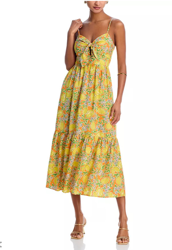 Brighten your day with this lemon print midi dress, a playful yet sophisticated piece perfect for sunny outings. Featuring a sweetheart neckline and adjustable tie-front detail, it flatters the silhouette with a fit-and-flare design that moves gracefully. Crafted in a soft rayon-linen blend, this sleeveless dress brings comfort and charm in equal measure. Style it with strappy sandals and a mini bag for a fresh summer look that radiates effortless joy. Click to explore and save your new favorite citrus-inspired outfit.

#lemondress #summerstyle #vacationoutfit #fashioninspo 

 

#LTKSeasonal #LTKPetite #LTKWedding