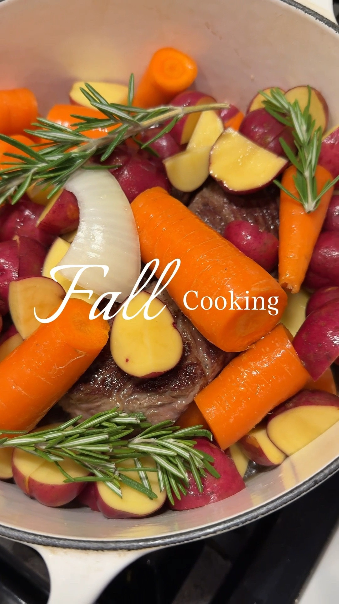 A beautiful, classic, Dutch oven meal 🍁🍂

#LTKHome #LTKSeasonal #LTKFamily