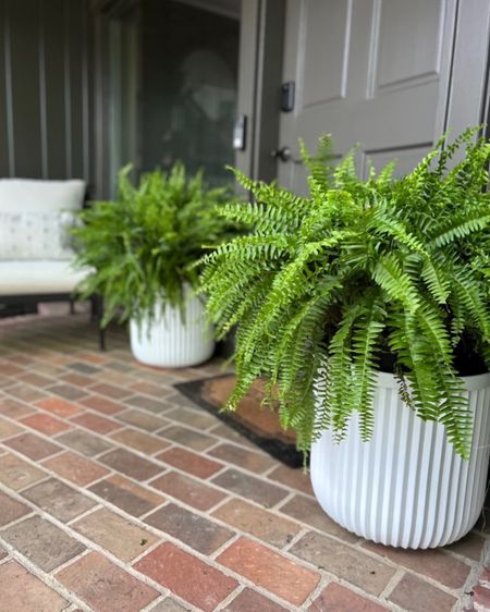 BACK IN STOCK! Under $30 Planter!

This planter is my favorite way to refresh a patio or porch! The sleek lines give it an elegant, modern touch, and I love that it is large enough to contain a large fern or plant arrangement! They always sell out because they are such an amazing value, so I would run to grab them if you’re looking for an easy way to refresh your patio! I ordered two to place on either side of my front door as an easy way to update my front porch decor. I placed a large bucket inside first to make sure that my ferns sit high in the planter. I love the look, and will reuse these planters for many seasons to come! Grab them while they are still in stock! You can comment to shop, or visit my bio to find them!

Patio Decor, Front Porch Decor, Outdoor Patio, Porch Decor, Planter Ideas, Large Fern Planters, winter refresh, spring refresh, and luxury for less, finds under 30, finds under 50



#LTKSeasonal #LTKfindsunder50 #LTKhome